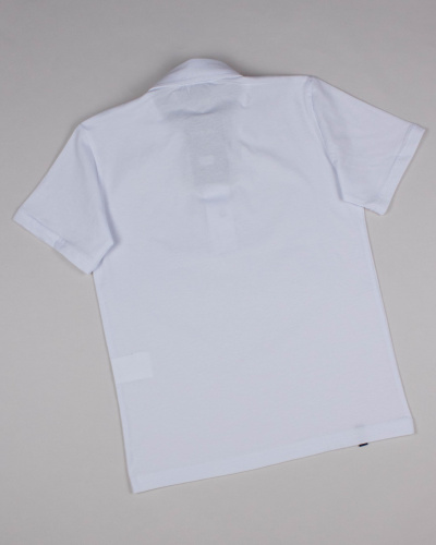 CEGISA 4006 Поло (кнопки) CEGISA 4006 Поло (кнопки) фото