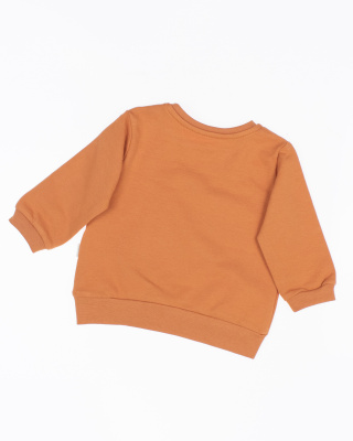 2023_09_26_0079209 2023_09_26_0079209